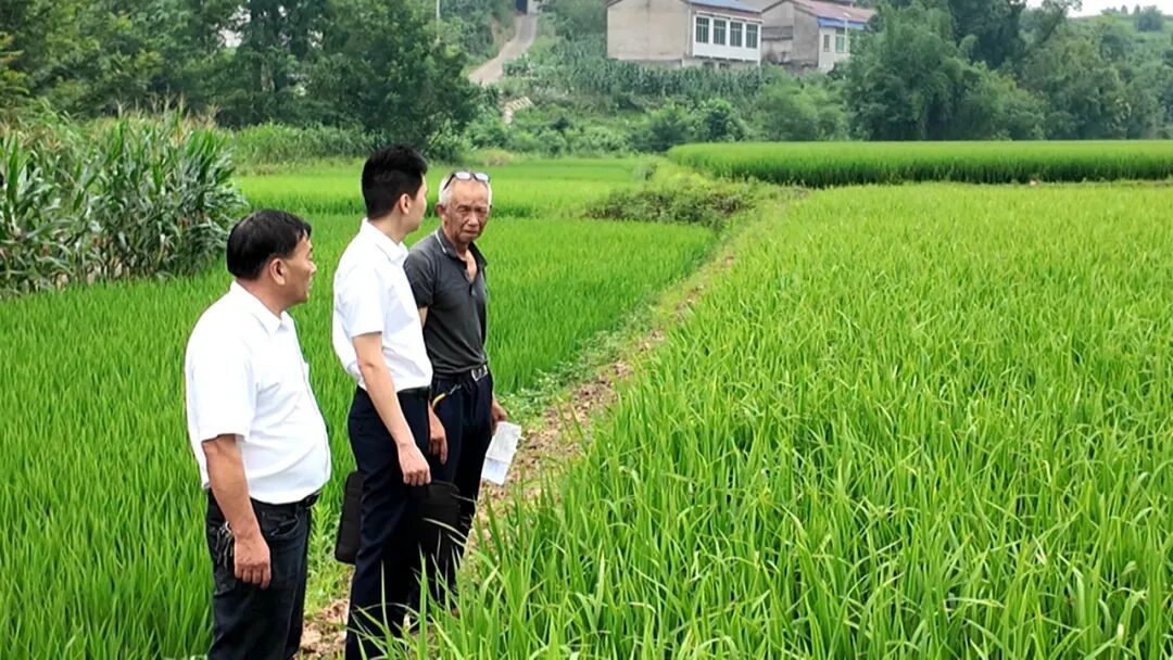 清风进院坝 晒出幸福感——渠县创新“幸福晒场”激活基层监督末梢
