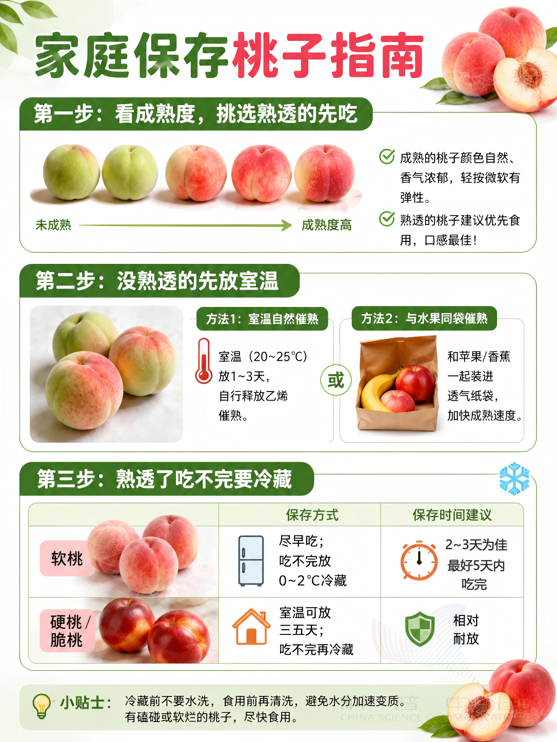 关于桃子的消费提示