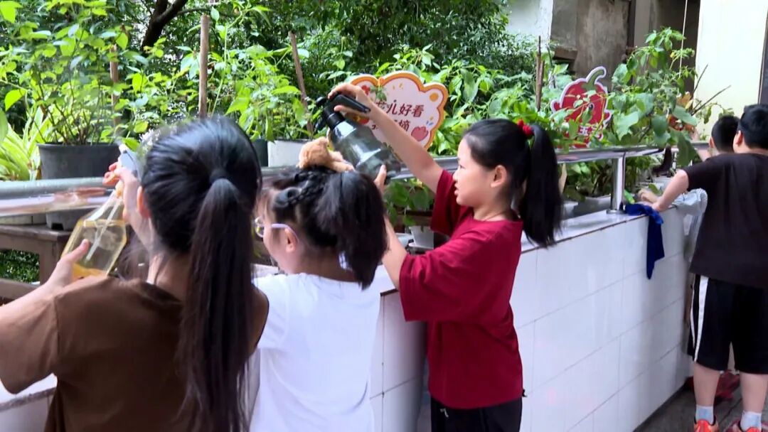 渠县一小：深耕阳台“责任田”  厚植爱土惜地童心
