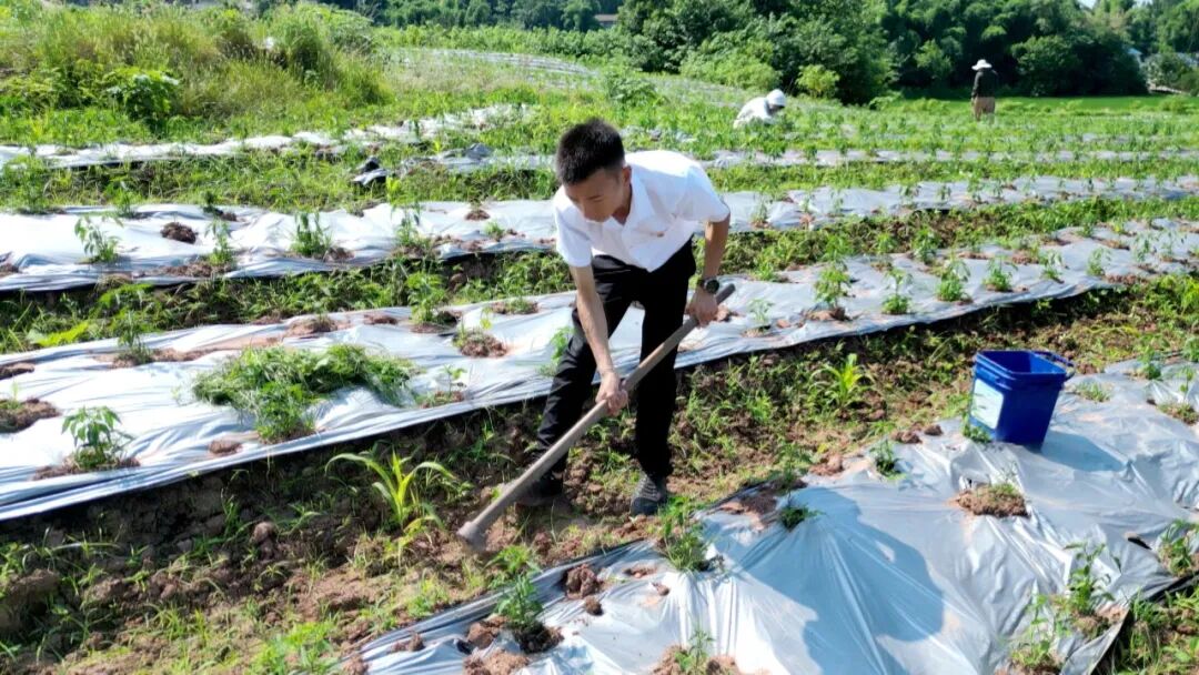 四川省优秀党务工作者刘会长：扎根乡土践初心 党建引领兴乡村
