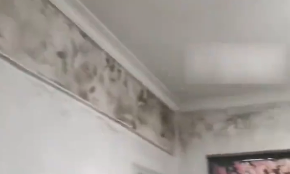 全家人频繁生病总找不到原因，直到揭开家中墙布......