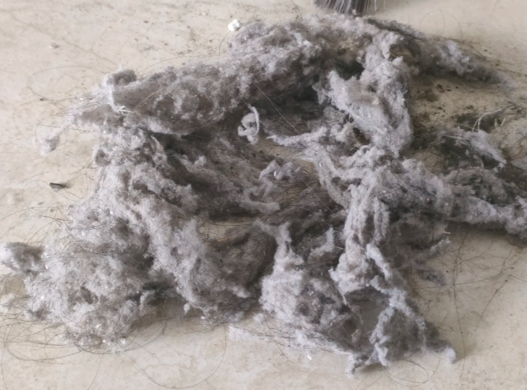 明明关紧了门窗，为啥家里还是一层灰？灰尘到底从哪来