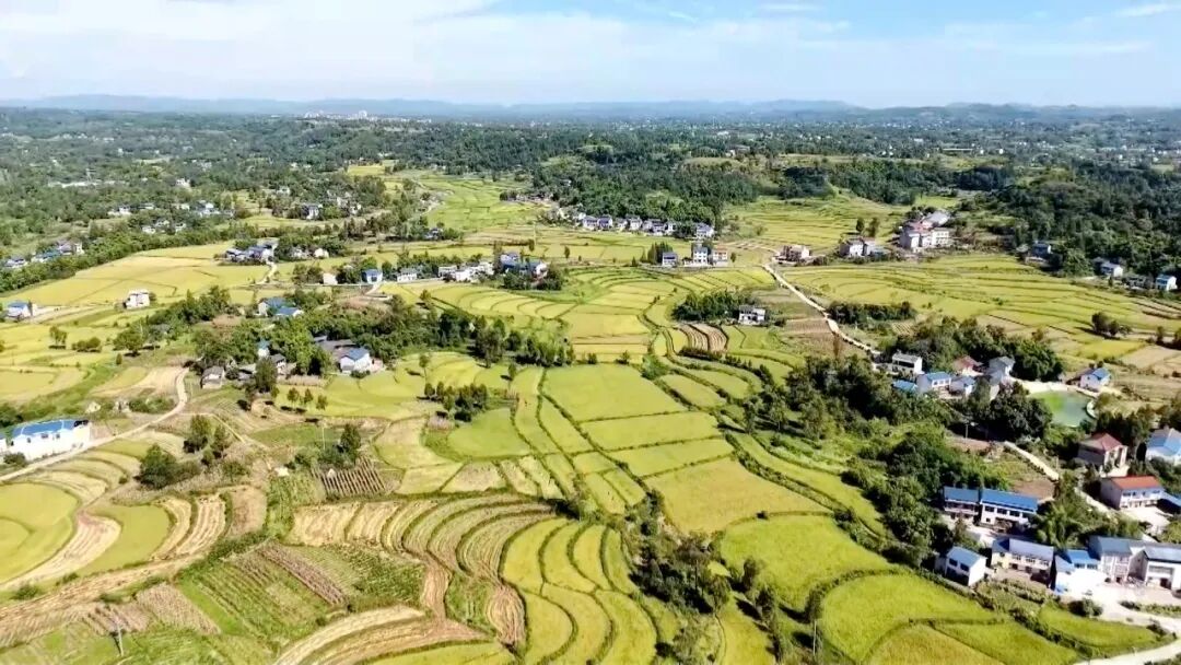 渠县：跨区农机助秋收 颗粒归仓保丰收