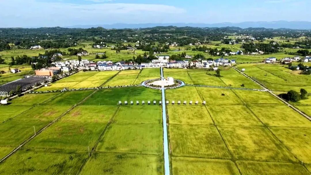 渠县：120余台套智能烘干机具 为秋粮归仓“保驾护航”