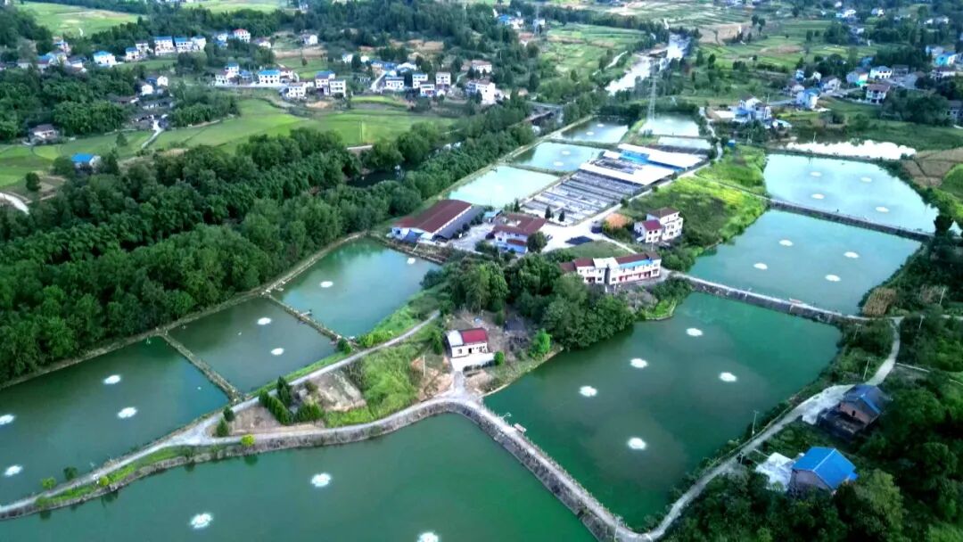 丰乐镇川燕村：探索集体经济“百万增收”新路径（下）