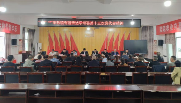 丰乐镇传达学习县第十五次代表大会精神
