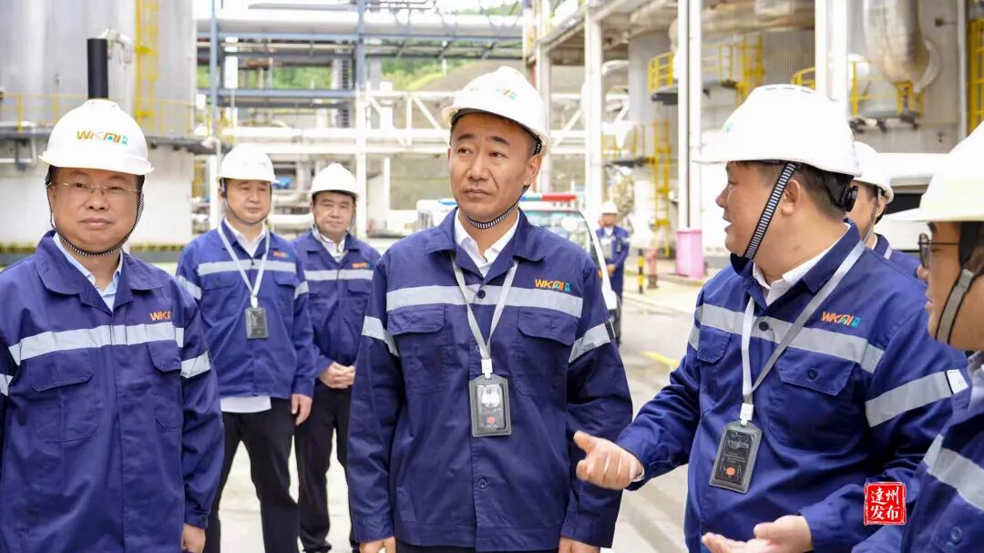 童梦在部分县（区）调研时强调 开足马力冲刺四季度 坚决实现全年经济社会发展目标