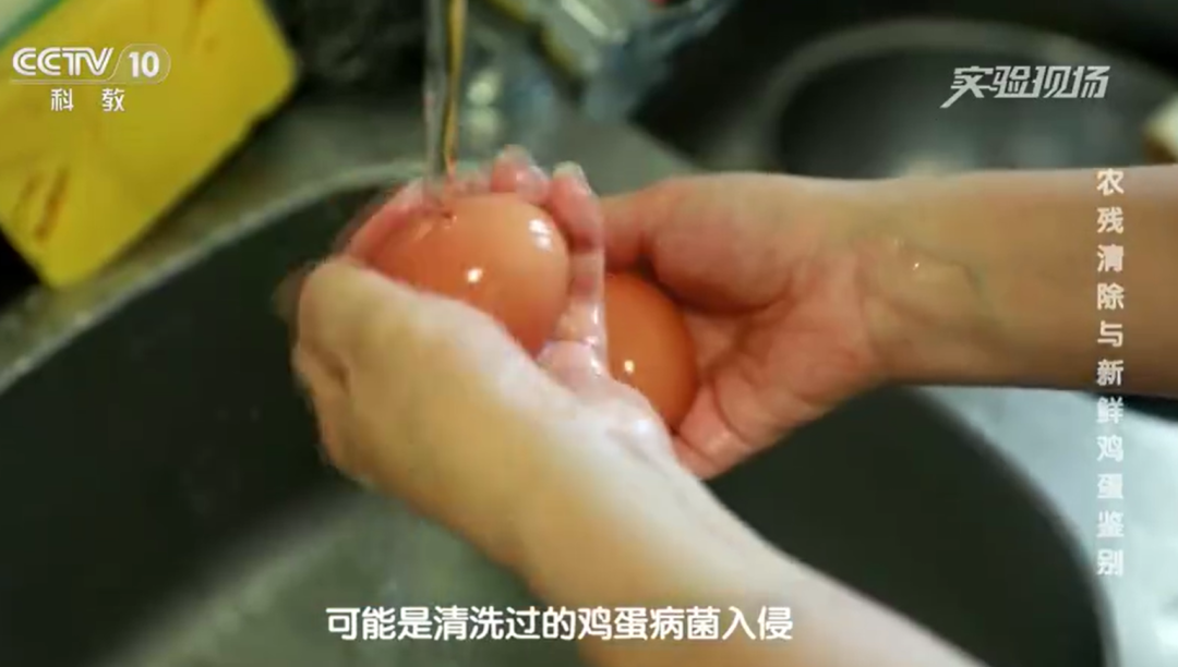 一家三口吃水洗鸡蛋后集体中毒，专家提醒