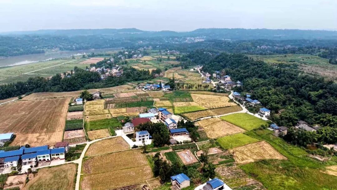 渠县：快递“飞”进村 低空物流打通乡村配送“最后一公里”