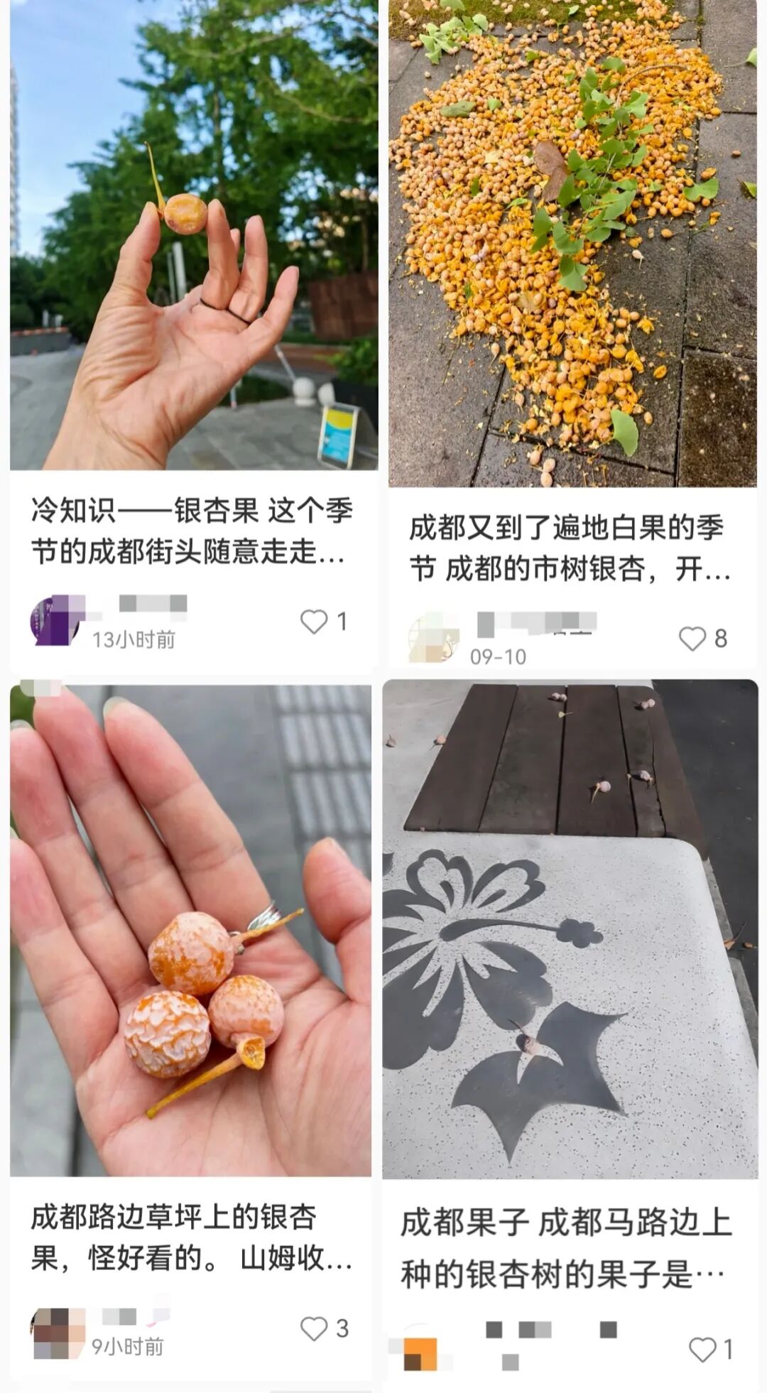 不要吃！不要捡！近期正大量出现