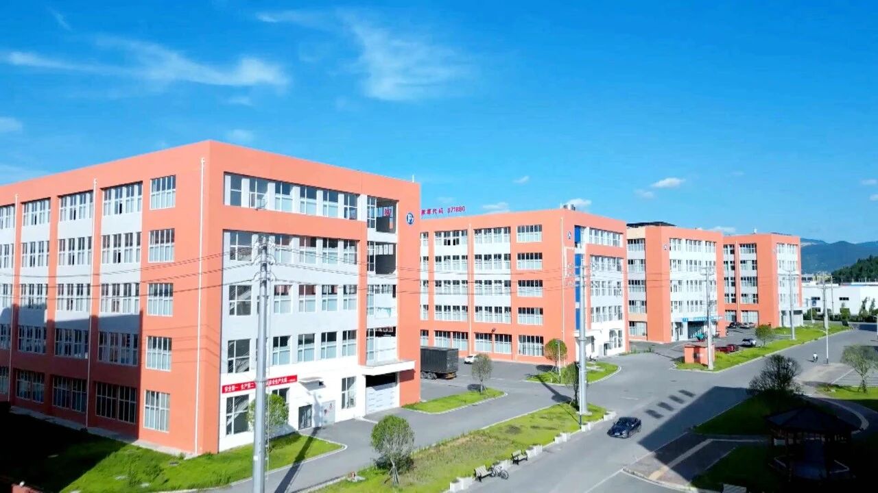 【系列报道 锻造工业强县硬支撑】（二）提质增效 彰显发展韧性